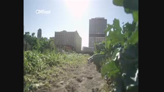 فصل دوم The Grill Iron با دوبله فارسی - قسمت اول