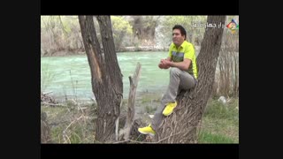 اگر به راز نیلوفرآبی پی ببریم بی شک زندگی ما قشنگ میشود