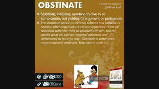 ویدیوکارد کلمه obstinate از سطح ۱ کتاب Verbal Advantage